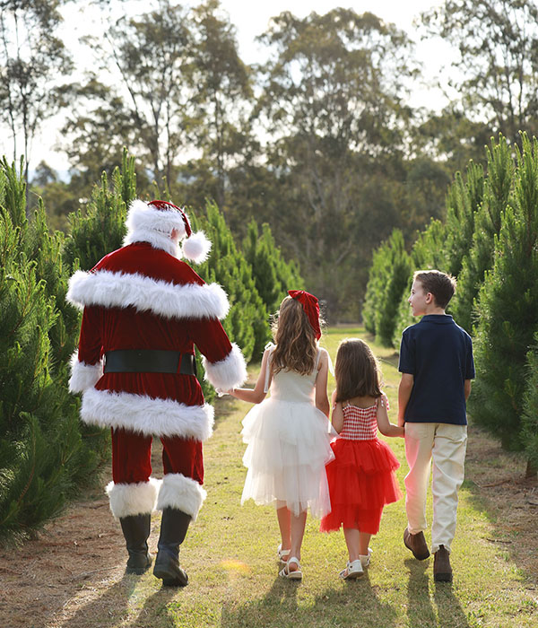 Razorback-Christmas-Tree-Farm-Santa-Experience Razorback Christmas Tree Farm Experience